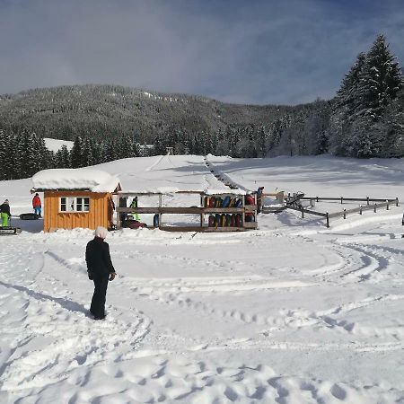 Appartment Kainhofer Sankt Martin am Tennengebirge Exterior photo